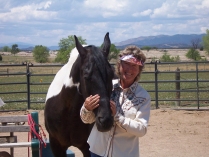 Mountain Saddle Icelandic  Peruvian Paso Paso Fino